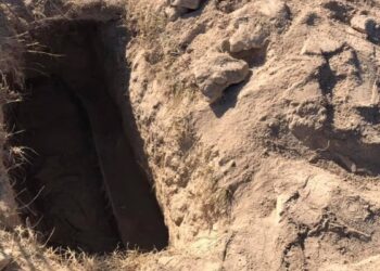 Bakıda itkin düşən yeniyetmənin meyiti aşkar edilib.  “Qafqazinfo” Lent.az-a istinadən xəbər verir ki, hadisə sentyabrın 7-si Qaradağ rayonu Lökbatan qəsəbəsində baş verib.  16 yaşlı Şeydabəyov Hüseynbala İlqar oğlunun meyiti sentyabrın 10-u qəsəbə ərazisindəki məzarlıqdan tapılıb.  Məlumata görə, yeniyetmə oğlanı 13 yaşlı sevgilisinin atası öldürüb. Belə ki, qızın atası Lökbatandakı qəbiristanlıqda Hüseynbalanı iplə boğaraq öldürüb, daha sonra onu həmin ərazidə basdırıb.  Qeyd edək ki, H.Şeydabəyovun itkin düşməsi barədə xəbər yayılmışdı.  Hazırda faktla bağlı araşdırma aparılır.  ***  Sabunçu Rayon Prokurorluğu hadisə barədə məlumat yayıb.  Bildirilib ki, sentyabrın 6-sı Sabunçu Rayon Polis İdarəsinə 2006-cı il təvəllüdlü Hüseynağa Şeydabəyovun itkin düşməsi ilə bağlı daxil olmuş müraciət əsasında aparılmış istintaq-əməliyyat tədbirləri ilə sonuncunun qəsdən öldürülməsi müəyyən olunub.  Faktla bağlı Sabunçu Rayon Prokurorluğunda Cinayət Məcəlləsinin 120.1-ci maddəsi ilə cinayət işi başlanılıb.  İstintaqla zərərçəkmişin qonşusu 1968-ci il təvəllüdlü Babək Quliyevin qisas almaq məqsədilə Hüseynağa Şeydabəyovu döyərək xəsarətlər yetirməsinə, daha sonra iplə boğaraq öldürməsinə əsaslı şübhələr müəyyən edilib.  Babək Quliyev şübhəli şəxs qismində tutularaq istintaqa cəlb edilib.  İş üzrə istintaq davam edir.