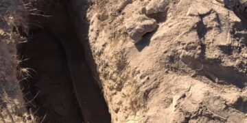 Bakıda itkin düşən yeniyetmənin meyiti aşkar edilib.  “Qafqazinfo” Lent.az-a istinadən xəbər verir ki, hadisə sentyabrın 7-si Qaradağ rayonu Lökbatan qəsəbəsində baş verib.  16 yaşlı Şeydabəyov Hüseynbala İlqar oğlunun meyiti sentyabrın 10-u qəsəbə ərazisindəki məzarlıqdan tapılıb.  Məlumata görə, yeniyetmə oğlanı 13 yaşlı sevgilisinin atası öldürüb. Belə ki, qızın atası Lökbatandakı qəbiristanlıqda Hüseynbalanı iplə boğaraq öldürüb, daha sonra onu həmin ərazidə basdırıb.  Qeyd edək ki, H.Şeydabəyovun itkin düşməsi barədə xəbər yayılmışdı.  Hazırda faktla bağlı araşdırma aparılır.  ***  Sabunçu Rayon Prokurorluğu hadisə barədə məlumat yayıb.  Bildirilib ki, sentyabrın 6-sı Sabunçu Rayon Polis İdarəsinə 2006-cı il təvəllüdlü Hüseynağa Şeydabəyovun itkin düşməsi ilə bağlı daxil olmuş müraciət əsasında aparılmış istintaq-əməliyyat tədbirləri ilə sonuncunun qəsdən öldürülməsi müəyyən olunub.  Faktla bağlı Sabunçu Rayon Prokurorluğunda Cinayət Məcəlləsinin 120.1-ci maddəsi ilə cinayət işi başlanılıb.  İstintaqla zərərçəkmişin qonşusu 1968-ci il təvəllüdlü Babək Quliyevin qisas almaq məqsədilə Hüseynağa Şeydabəyovu döyərək xəsarətlər yetirməsinə, daha sonra iplə boğaraq öldürməsinə əsaslı şübhələr müəyyən edilib.  Babək Quliyev şübhəli şəxs qismində tutularaq istintaqa cəlb edilib.  İş üzrə istintaq davam edir.