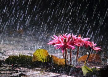 Sabahdan hava şəraiti qeyri-sabit keçəcək, yağış yağacaq