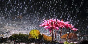 Sabahdan hava şəraiti qeyri-sabit keçəcək, yağış yağacaq