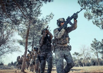 Azərbaycan gözləməyəcək,bu tarixdə əməliyatlar başlaya bilər(Papayan)