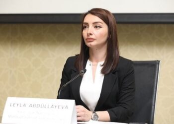 Səfir Fransa Milli Assambleyasının qətnaməsinə münasibət bildirib: İndi danışmaqla sülhə mane olursunuz