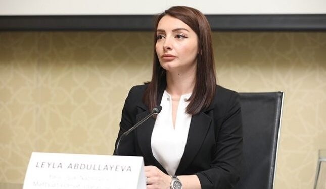 Səfir Fransa Milli Assambleyasının qətnaməsinə münasibət bildirib: İndi danışmaqla sülhə mane olursunuz