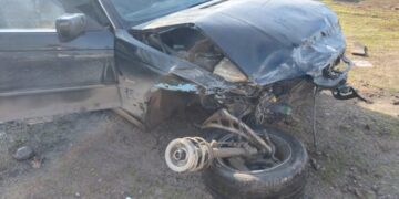 Ələt-Astara magistral avtomobil yolunda mal-qara yol qəzasına səbəb olub