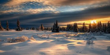 EKOLOGİYABu günün hava proqnozu açıqlandı