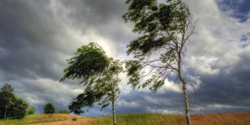 Bu gün gecədən güclü külək əsəcək – XƏBƏRDARLIQ