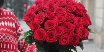 Ölkəyə 2,2 manata gətirilən qızılgül 8-9 manata satılır – AXI NİYƏ?!