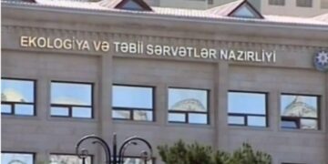 Quba Regional Meşə Təsərrüfatı Mərkəzində nə baş verib? – “Reket jurnalist”lərlə birləşən “ağac kəsənlərin” məkrli planı