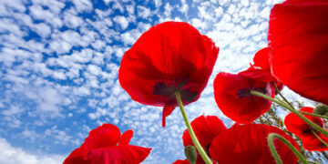 Sabah bəzi yerlərdə 25° isti olacaq