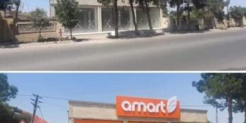 Cəlilabadda ağacların kəsilməsi sahibkarın ayağına yazıldı… – FOTOFAKT