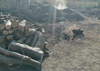 Cəlilabadda qanunsuz kömür istehsalı və ətraf mühitin tullantılarla zibillənməsi faktları aşkarlanıb