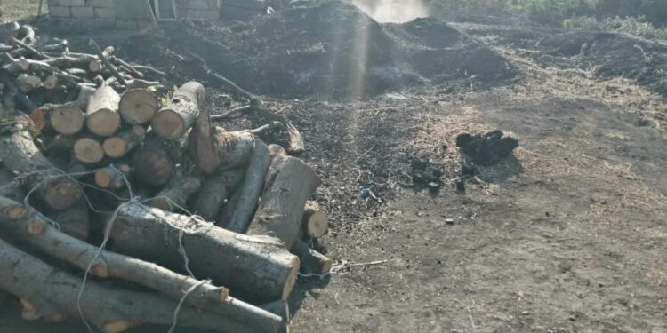 Cəlilabadda qanunsuz kömür istehsalı və ətraf mühitin tullantılarla zibillənməsi faktları aşkarlanıb