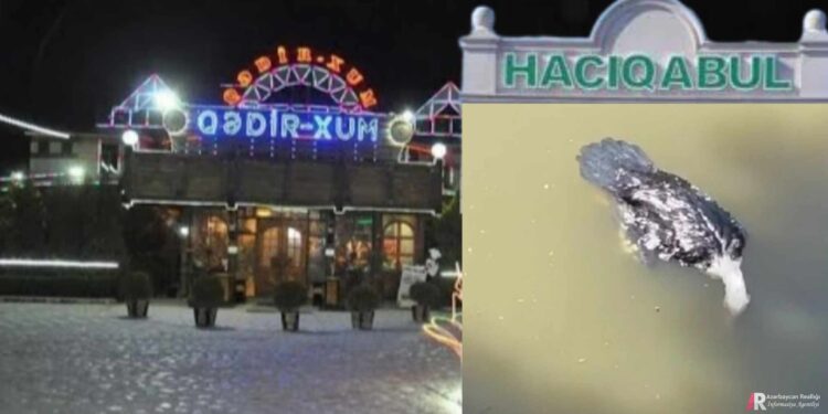 Hacıqabulda “Qədir Xum” restoranında insan sağlamlığı üçün təhlükə yaradan mənzərə – VİDEO