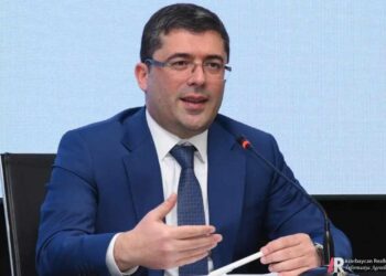 Milli Mətbuatın kökünə vurulan BALTA – Bundan sonra bu ağac bəhər verərmi?