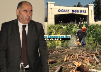 Oğuzun icra başçısı Eyvaz Qurbanov rayondakı meşələri məhv edir… – İcra başçısının qardaşı Mahir Qurbanov rayonun daş, qum, çınqılını satmaqla məşğuldur…