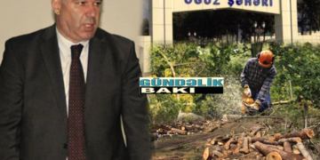 Oğuzun icra başçısı Eyvaz Qurbanov rayondakı meşələri məhv edir… – İcra başçısının qardaşı Mahir Qurbanov rayonun daş, qum, çınqılını satmaqla məşğuldur…