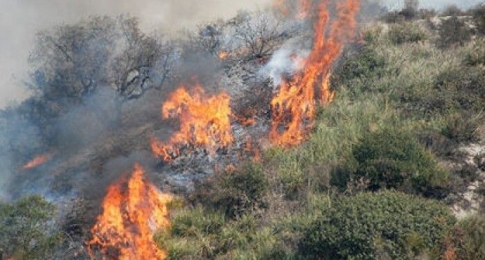 Qəbələdə dağlıq ərazidə yanğın – Helikopter cəlb edildi – Yenilənib