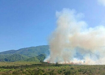 Türkiyədə meşə yanır – Helikopterlər cəlb edildi