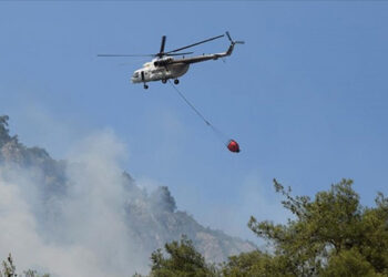 Türkiyənin bu bölgəsində meşə yanır