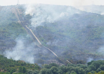 Türkiyə-Bolqarıstan sərhədində meşə yanğını