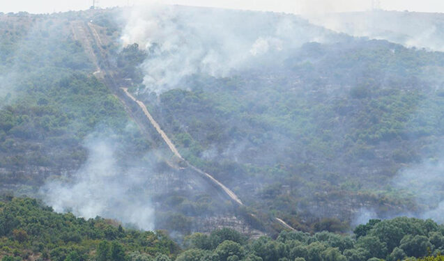 Türkiyə-Bolqarıstan sərhədində meşə yanğını