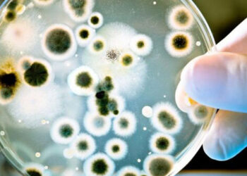 Bədənimizdəki bu nahiyələr mikrobla dolu imiş – Diqqət!