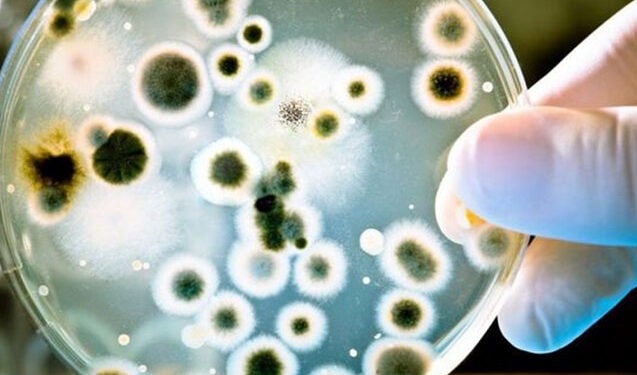 Bədənimizdəki bu nahiyələr mikrobla dolu imiş – Diqqət!