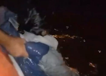 Bulvarda dənizə düşən qadın xilas edildi – Video