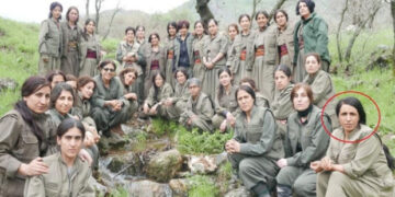 Türkiyə kəşfiyyatı azyaşlı uşaqları terror təşkilatına cəlb edən PKK qadın üzvünü zərərsizləşdirdi – FOTO