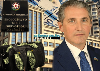 Yardımlı və Masallı meşələrindən dəhşətli görüntülər: Ekologiya işçilərinin “çiyələk pazı” biznesi genişlənir (VİDEO, FOTO)