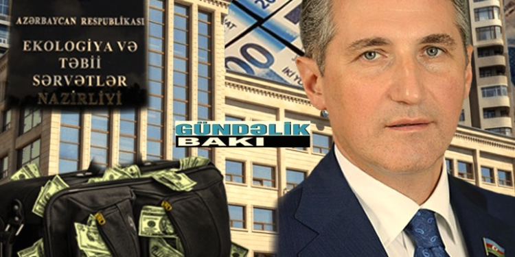 Yardımlı və Masallı meşələrindən dəhşətli görüntülər: Ekologiya işçilərinin “çiyələk pazı” biznesi genişlənir (VİDEO, FOTO)