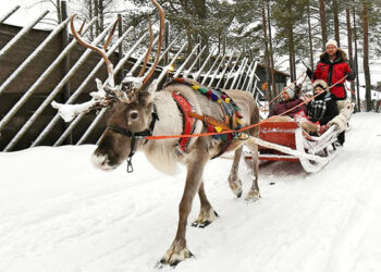 Yeni İlin nağıl kimi şəhərləri – Vyanadan Bruggeyə kimi…