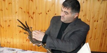 Şah İsmayılın döyüş bayrağının başlığı Astaranın kəndində qorunur – FOTO