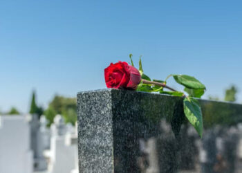 Bakı qəbirstanlığında dəhşətli mənzərə – Xəstəlik riski də var – VİDEO