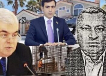 Ziya Məmmədovun biznes ortağı kimi tanınan Qulam Ələkbərovun biznesmen kürəkəni: Anar Məmmədov Milli Məclisdə necə yer alıb?