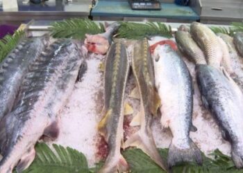 “Könlü balıq istəyənin əli cibində gərək”: – Qiymətlər kəllə-çarxa qalxıb