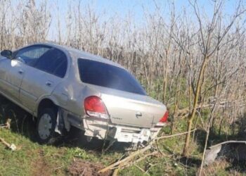 Cəlilabadda minik avtomobili ağaca çırpılıb, xəsarət alan var – FOTO