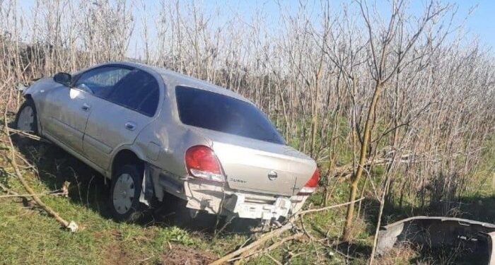 Cəlilabadda minik avtomobili ağaca çırpılıb, xəsarət alan var – FOTO