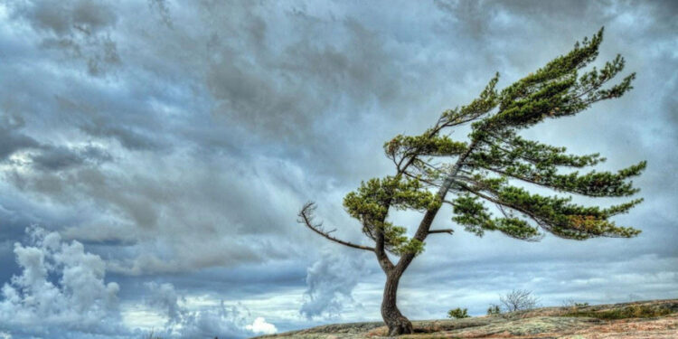 XƏBƏRDARLIQ – Bu tarixdən hava kəskin pisləşir