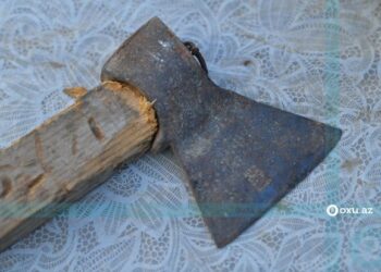 Lənkəranda ər arvadına və özünə xəsarət yetirib.  APA-nın məlumatına görə, hadisə rayonun Mamusta kəndində baş verib.  Belə ki, kənd sakini 1955-ci il təvəllüdlü Şahəddin Bayram oğlu Məlikovun əvvəlcə həyat yoldaşı, 1952-ci il təvəllüdlü Xanımqız Həsən qızı Məlikovaya, daha sonra özünə balta ilə xəsarət yetirdiyi bildirilir.  Hər iki şəxs Lənkəran Rayon Mərkəzi Xəstəxanasına çatdırılıb.  Həkimlər X.Məlikovaya başın kəsilmiş yarası, sol mil sümüyünün qəlpəli sınığı, Ş.Məlikova isə hər iki saidin, döş qəfəsinin, boyunun kəsilmiş-deşilmiş yarası diaqnozu qoyublar.  Ş.Məlikov polis əməkdaşları tərəfindən saxlanılıb.  Faktla bağlı araşdırma aparılır.