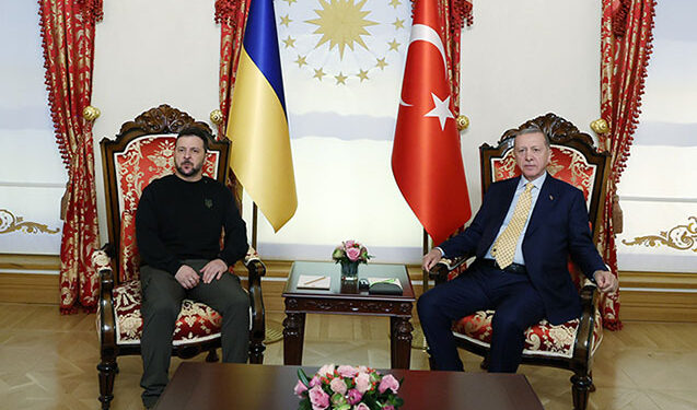 Türkiyə və Ukrayna liderləri nəyi müzakirə etdilər?
