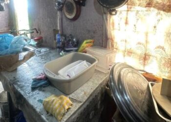 Cəlilabadda fəaliyyət göstərən kafedə nöqsanlar aşkarlanıb – FOTO