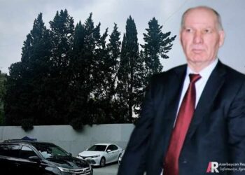 Əsabil Qasımovun şirkəti ağacları məhv edir – FOTO