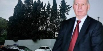 Əsabil Qasımovun şirkəti ağacları məhv edir – FOTO