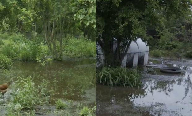 Yağış sakinləri evləri ilə birlikdə su altında qoydu – VİDEO