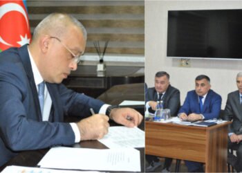 Zaur Mikayılov Ağsudakı qəbulda daha nələri görməli idi…