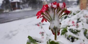 Bu rayonlara qar yağıb – FAKTİKİ HAVA