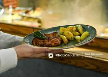 Yolkənarı iaşə obyektləri, zəif və naşı fəaliyyət: Turizm sektorunun sağalmayan yarası A- A+