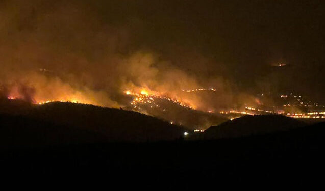 Türkiyədə əkin sahəsində yanğın – 5 ölü, 44 yaralı