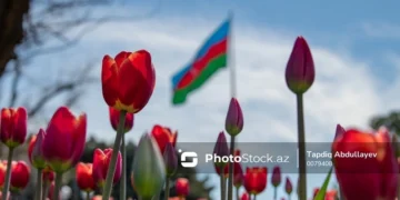 Bazar gününə olan hava proqnozu – 23.06.2024